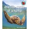 Susan Frame The life cycle of a turtle (Tascabile)
