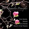Cheryl Jacques The Magnolia Principle (Tascabile)