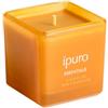 ipuro Essentials pumpkin pie Candela profumata 125 g