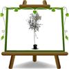 EURO PLANTS VIVAI Olivo Frantoio Pianta da Frutto 4 Anni | Ulivo produttivo da olio su Vaso da 22 cm Altezza Max 170 cm