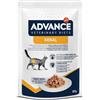 AFFINITY ADVANCE VET DIETS CAT RENAL 85 GR.