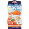 dolfin sensofreddo la Granita siciliana con succo di Arancia Rossa di Sicilia IGP 2 x 100 ml