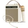 Dripio Amplificatore portatile per la voce con 2 microfoni, 30 W, autonomia della batteria di 14 ore