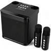 Dripio Altoparlante per karaoke con 2 microfoni, portatile, dotato di subwoofer