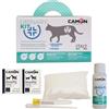 CAMON - Urinary Kit - Sistema di Raccolta Urine del Gatto, Reusabile | Lettiera in Perle Non Assorbente con Pipetta per Raccolta e Provetta con Tappo ed Etichetta