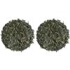 MOYA MATCHA Moya Tè verde Sencha No. 21 Giapponese Biologico | 100 g | Tè verde in foglie | Bio, Naturale e Puro | Cordiale per Vegani e Vegetariani | in una Borsa Chiusa (Confezione da 2)