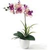 RidgeRover Orchidee Artificiali in Vaso, Orchidea Finta Tocco Reale Phalaenopsis con Petali Base Crema e Venature Viola, Fiori Artificiali per Decorazione Tavolo Casa Ufficio, Adatta alle Allergie al