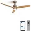 CREATE / WINDSTYLANCE DC/Ventilatore da soffitto con WIFI con luce, motore DC nickel, con pale in legno naturale/Silenzioso, 2 altezze, timer