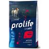 prolife Adult Mini Manzo Riso 600GR