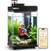 VIVOHOME 9,5L Acquario in Vetro APP Controllato Kit di Avvio | Controllo APP, Sistema di Filtrazione, Luci LED, Pompa dell'Acqua, Display della Temperatura. Ideale per Scrivania, Ufficio
