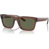 Ray-Ban Warren RB 4396 (66789A)