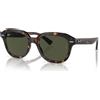 Ray-Ban Erik RB 4398 (902/31)