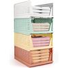Diealles Shine Organizer Armadio Cassetti, 4PCS Impilabili Pieghevoli per Guardaroba, Plastica Cassettiera per Armadio per Casa, Camera Da Letto, Cucina(Colore)