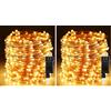 Erwawee Luci Albero di Natale 50M 500 LEDs,Catena Luminosa da Esterno Filo di Rame (Confezione da 2)