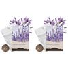 HAPPY SEED 300 semi di lavanda ad alto tasso di germinazione - pianta medicinale versatile e ideale per api e farfalle (incluso eBook 0) (Confezione da 2)