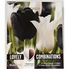 Kapiteyn 15 bulbi tulipani bianchi e neri lovely combinations kapiteyn holland
