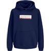 JACK & JONES Felpa Con Cappuccio Boys | Relaxed Fit, Maniche lunghe, Casual, Temperatura massima di 40°C ciclo molto delicato