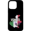 Italia design vintage Custodia per iPhone 15 Pro Max Veneto regione in Italia con mappa souvenir vintage