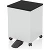 EPSON 7112285 Stampante Drucker Armadio Stampante Nero Bianco