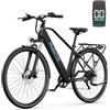 DUOTTS C29 Lite Bici Elettrica con Motore 250W, E-Bike Elettrica