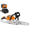Stihl MSA 60 - Motosega con Barra 30 cm con Kit Batteria e Caricabatterie