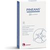 Uriach Italy Pineans 20cpr