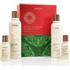 Aveda Holiday Gift of Awakening