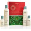 Aveda Holiday Gift of Tranquility Shampure™ Body Wash and Lotion Set