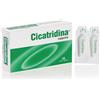 Cicatridina supposte 10 pezzi - CICATRIDINA - 907116154