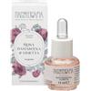 Hp Italia Nasoterapia Fragranza Botanica Essenza Aromatica Rosa Damascena & Limetta 15 Ml