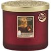 Heart and Home HEART & HOME - Candela profumata a base di cera naturale di soia per la casa, con 2 stoppini di magia di Natale, durata di combustione 40 ore, regalo, decorazione e profumo per la casa, vaso di vetro