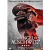 TDM Angel of Auschwitz (DVD) Noeleen Comiskey Terry Lee Coker Steven Bush