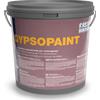 Fassa Bortolo Idropittura bianca lavabile e mascherante Fassa Bortolo Gypsopaint per cartongesso (Secchio 5-14 lt), 5 litri