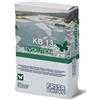 Fassa Bortolo Bio-Intonaco Fassa Bortolo KB 13 Evolution (Sacco 25 Kg)