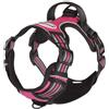 CAMON PETTORINA COMFORT PLUS REFLEX TG. S ( 40-50 CM. / 50-63 CM.) FUCSIA