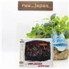 Nirvana SHM-CD "MTV Unplugged In New York" Live 1993 Japan SIGILLATO NUOVO
