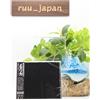 Nuovo CD 2021 REMASTER METALLICA THE BLACK ALBUM JAPAN SHM