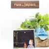 Nuovo CD musicale giapponese Masayoshi Takanaka Hunplugged