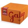 GALUP Panettone senza canditi 750g