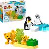 DUPLO Famiglie di animali: pinguini e leoni LEGO® DUPLO® 10442