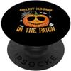 Coolest pumpkin in the patch Funny hallo Divertente zucca occhiali da sole camicia più cool zucca nella patch PopSockets PopGrip Adesivo