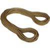 Mammut 9.9 Gym Workhorse Classic Rope corda arrampicata