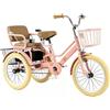 Generico Triciclo con sedile passeggero posteriore,Bicicletta a 3 ruote portata 120KG,ruote raggi gonfiabili antiscivolo,sella/manubrio regolabili,Sedile posteriore con cintura di sicurezza e poggiapiedi