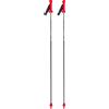 Van Deer - Bastoncini da sci da gara - Race GS Carbon Grey/Black/Red - Taglia 115 cm - Grigio