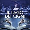 Il lago dei cigni