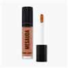 Mesauda Pro Light Concealer - 221 P01