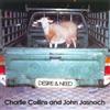 Charlie Collins & John Jasnoch Desire & Need (CD) Album