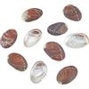 AHANDMAKER 10 conchiglie di abalone grandi, 5,3-5,8 cm di conchiglia di abalone naturale, ciotole iridescenti per incenso, bastoncini di incenso, decorazioni per la casa, artigianato artistico