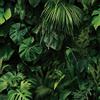 ReWallpaper Carta Da Parati Adesiva Muro Foglie Palma Verde 44.5CMx3M Pellicola Adesiva Mobili Armadio Parete Carta Da Parati 3d Verde Scuro Tropicale Rivestimento Adesivo Cucina Rimovibile