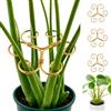 CSVZKIAY Supporti Piante in Metallo - 4 Tutori Robusti per Fiori, Rose, Pomodori | Ideale per Monstera, Ortensie e Piante Perenni da Interno (Color Oro)